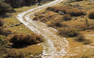 Tuesday, April 7, 2026